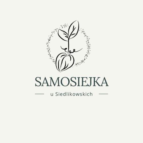 Samosiejka - Z Widokiem Na Jezioro Villa Lidzbark Welski Eksteriør bilde